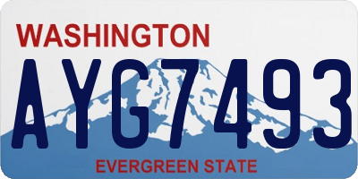 WA license plate AYG7493