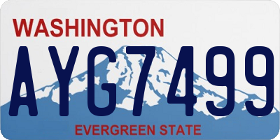 WA license plate AYG7499
