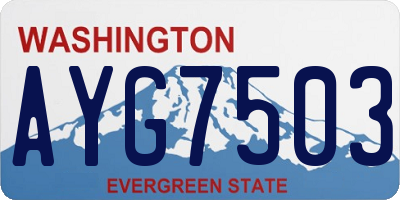 WA license plate AYG7503