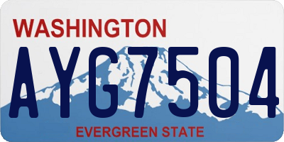 WA license plate AYG7504