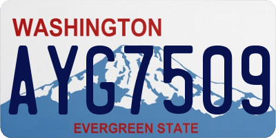 WA license plate AYG7509