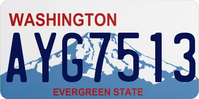 WA license plate AYG7513