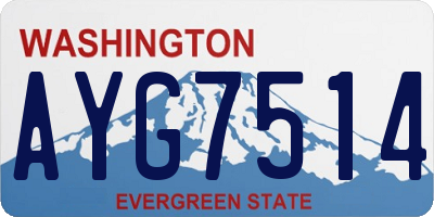 WA license plate AYG7514