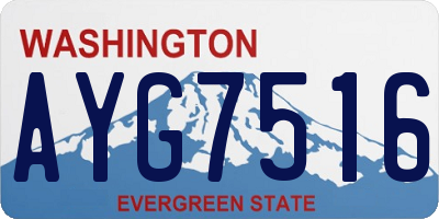 WA license plate AYG7516