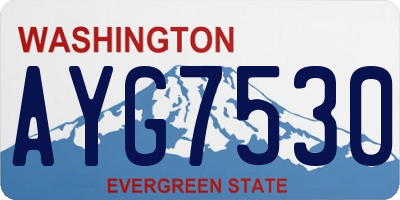 WA license plate AYG7530