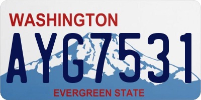WA license plate AYG7531