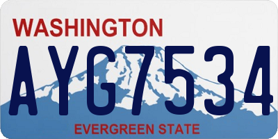 WA license plate AYG7534