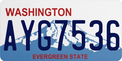 WA license plate AYG7536