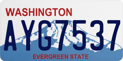 WA license plate AYG7537