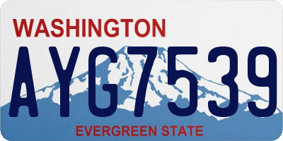 WA license plate AYG7539