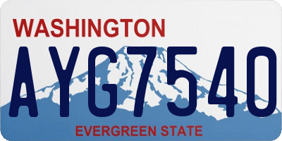 WA license plate AYG7540