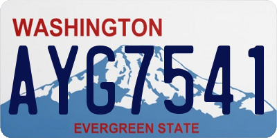 WA license plate AYG7541