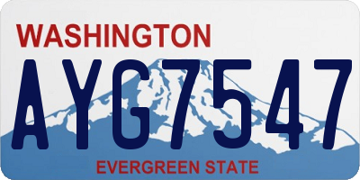 WA license plate AYG7547