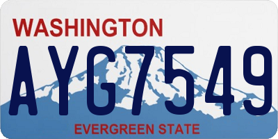 WA license plate AYG7549