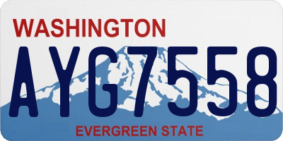 WA license plate AYG7558