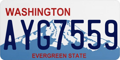 WA license plate AYG7559