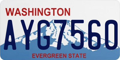 WA license plate AYG7560