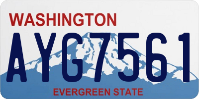 WA license plate AYG7561