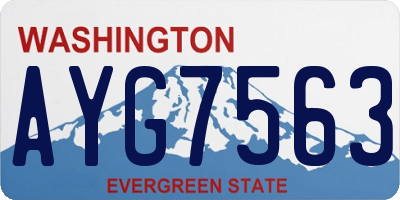 WA license plate AYG7563
