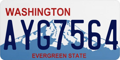 WA license plate AYG7564