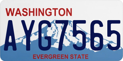 WA license plate AYG7565