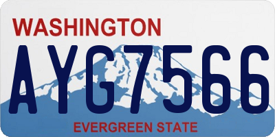 WA license plate AYG7566