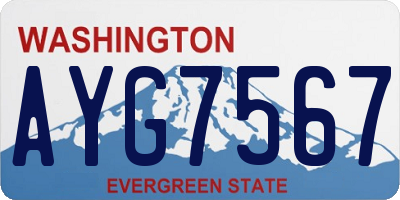 WA license plate AYG7567