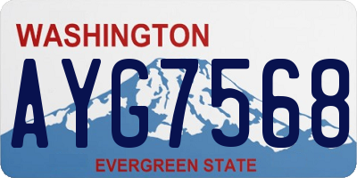 WA license plate AYG7568