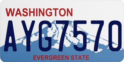 WA license plate AYG7570
