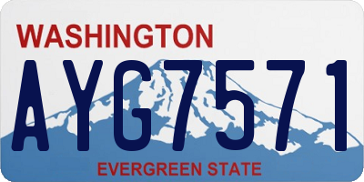 WA license plate AYG7571