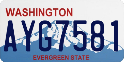 WA license plate AYG7581