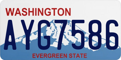 WA license plate AYG7586