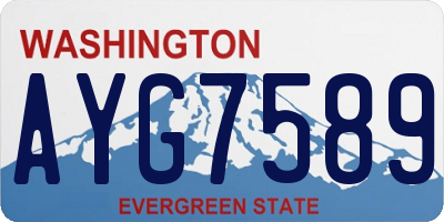 WA license plate AYG7589