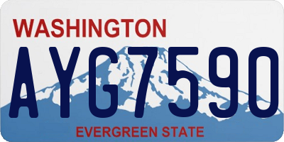 WA license plate AYG7590