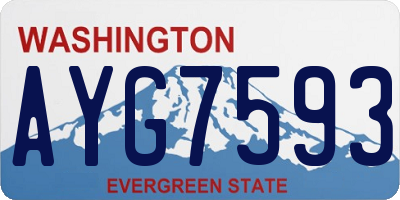 WA license plate AYG7593