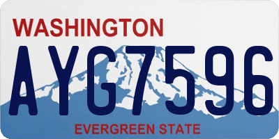 WA license plate AYG7596