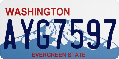 WA license plate AYG7597