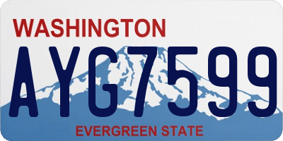WA license plate AYG7599