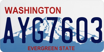 WA license plate AYG7603
