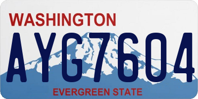 WA license plate AYG7604