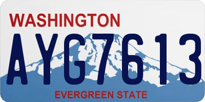 WA license plate AYG7613
