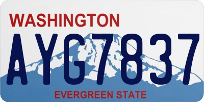 WA license plate AYG7837