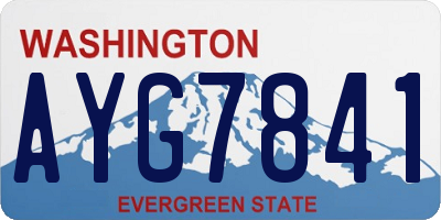 WA license plate AYG7841