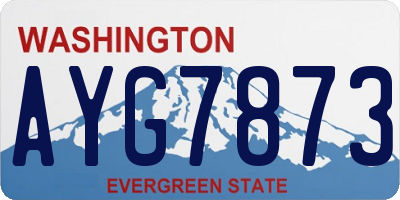 WA license plate AYG7873