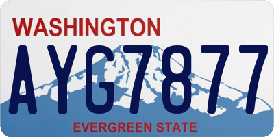 WA license plate AYG7877