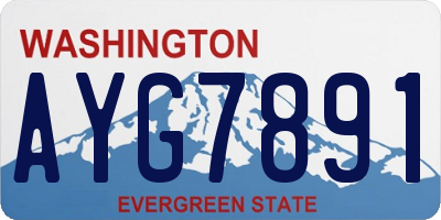 WA license plate AYG7891