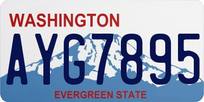 WA license plate AYG7895