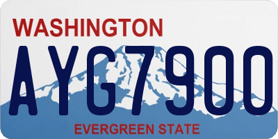 WA license plate AYG7900