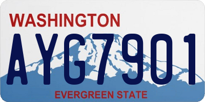 WA license plate AYG7901
