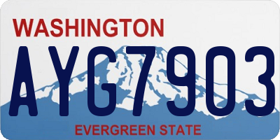 WA license plate AYG7903